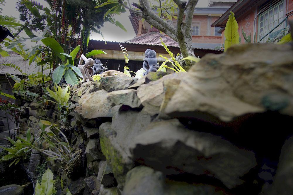 Okawati Boutique Bungalows Ubud Exteriér fotografie